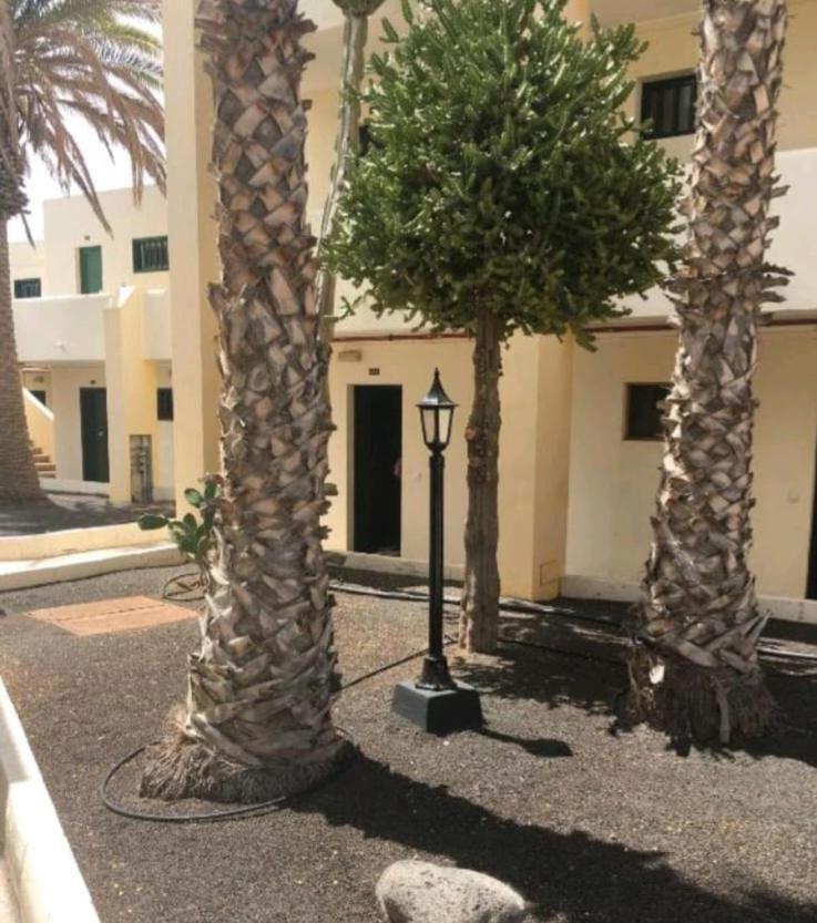 Apartament Suri Costa Teguise Zewnętrze zdjęcie