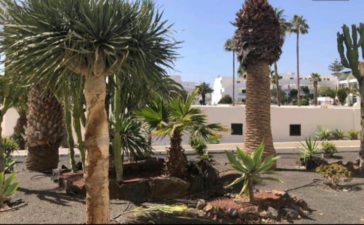 Apartament Suri Costa Teguise Zewnętrze zdjęcie